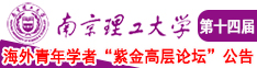 www尻逼南京理工大学第十四届海外青年学者紫金论坛诚邀海内外英才！